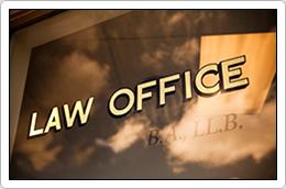 Lawyer/Attorney - Law Office